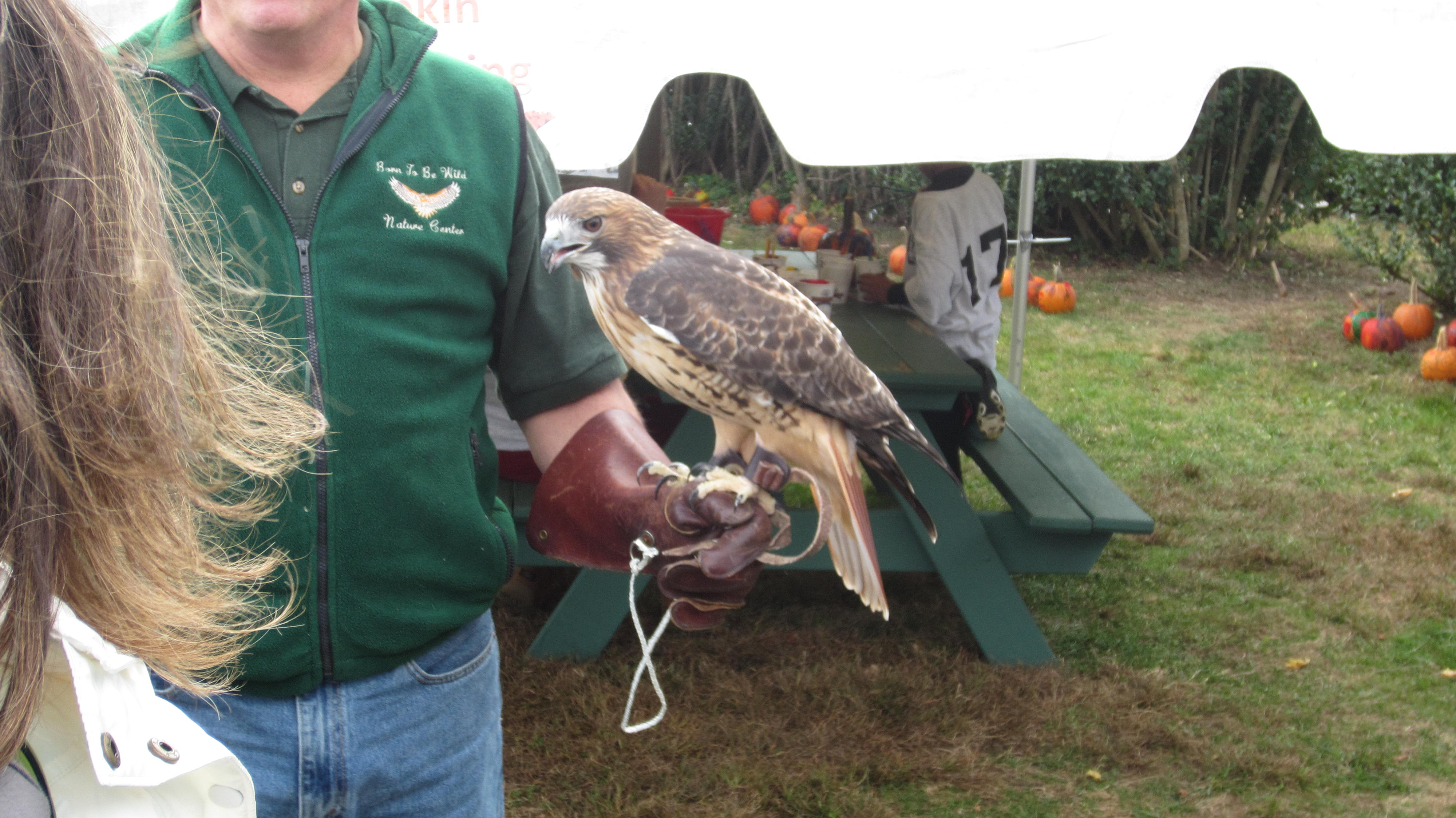 2012 Pumpkin Festival 018